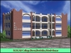 M M Ali College